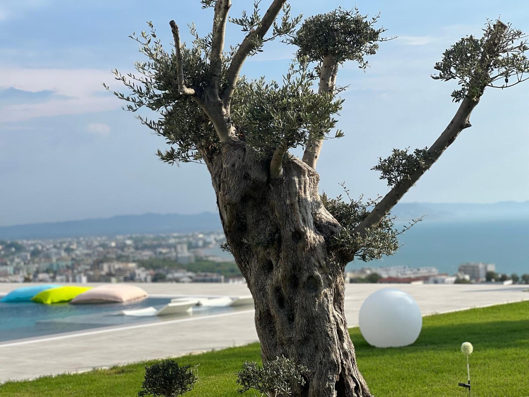 Villa Esmi Durres Kryemedhej Екстер'єр фото