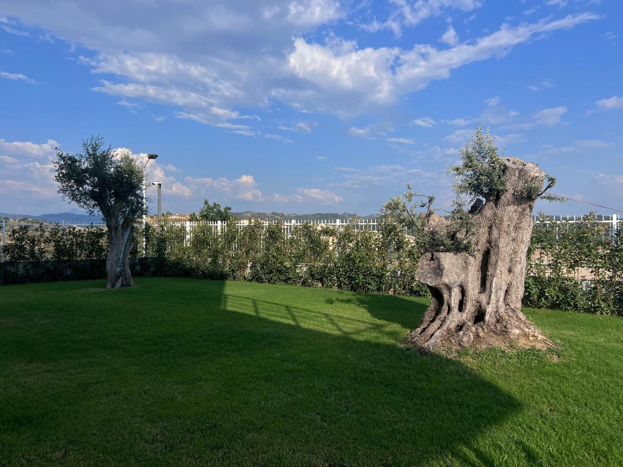 Villa Esmi Durres Kryemedhej Екстер'єр фото